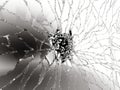 Pieces of destructed Shattered glass on black Royalty Free Stock Photo