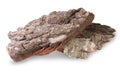 Pieces Of Dry Bark Of Birch And Oak Royalty Free Stock Photo