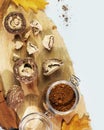 Pieces of dry mushrooms with chaga powder on a wooden podium Royalty Free Stock Photo