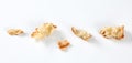 Pieces of fresh ciabatta bread Royalty Free Stock Photo