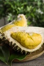 Pieces of fresh ripe durian fruit on wooden table, closeup Royalty Free Stock Photo