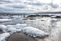 Pieces of freshwater ice at in the water near coast Royalty Free Stock Photo