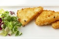 Pieces of fried cheese with lettuce on a white plate. Appetizing starter. Close-up