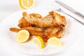 Pieces of fried fish and lemon on a white plate Royalty Free Stock Photo