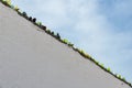 Pieces of glass put on a wall to avoid jumping