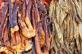 Pieces of grilled smoked sea fish, squid and octopus with spices Royalty Free Stock Photo