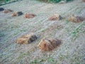 pieces of hay on a field Royalty Free Stock Photo