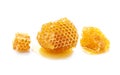 Pieces of honeycomb honey Royalty Free Stock Photo