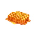 Pieces of honeycomb. Sweet fresh honey. Natural and healthy product. Flat vector design