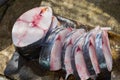 Pieces of king mackerel fish Royalty Free Stock Photo