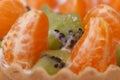 Pieces of kiwi and tangerine slices horizontal.