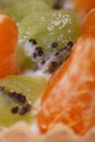 Pieces of kiwi and tangerine slices macro