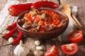 Pieces of lamb stewed with onion, tomato and pepper close-up. ho