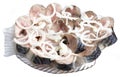 Pieces of mackerel with onion Royalty Free Stock Photo