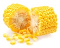 Pieces of maize cob or corn cob and corn seeds isolated on white background Royalty Free Stock Photo