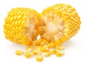 Pieces of maize cob or corn cob and corn seeds isolated on white background Royalty Free Stock Photo