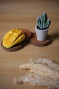 Fresh fruit and cute cactus on wooden background
