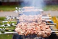 Pieces of meat are friend on fire on skewers on grill Royalty Free Stock Photo