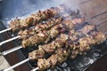 Pieces of meat roasted on a spit over charcoal Royalty Free Stock Photo