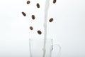 Pieces of milky chocolate with nuts falling into the hot milk Royalty Free Stock Photo