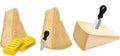 pieces of Parmigiano Reggiano cheese-