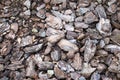 Pieces of pine bark carpeted on the surface of the earth. Brown natural background. Soil mulching in landscape design, selective Royalty Free Stock Photo