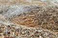 Pieces of pine tree chips burned to generate heat for district h Royalty Free Stock Photo