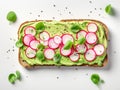 Pieces of radishes on a rectangular slice of bread spread with avocado cream Royalty Free Stock Photo