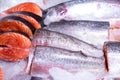 Pieces of raw steak from fresh salmon lying on the ice counter. Royalty Free Stock Photo