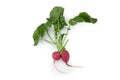 2 Pieces of Red Radish in white background