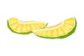 Pieces of Ripe Jackfruit with Green Pimpled Shell and Fibrous Core Vector Illustration