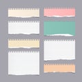 Pieces of ripped different size colorful note, notebook, copybook paper sheets