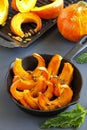 Pieces roasted pumpkin seeds Royalty Free Stock Photo