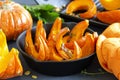 Pieces roasted pumpkin seeds Royalty Free Stock Photo