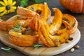 Pieces roasted pumpkin seeds Royalty Free Stock Photo