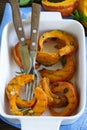 Pieces roasted pumpkin Royalty Free Stock Photo