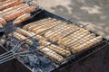 The pieces of sausage and hot dogs on two grills for barbecue. Weekend rest in nature, cook on the fire.