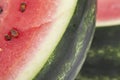 Pieces of sliced watermelon, close up Royalty Free Stock Photo