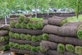 Pieces of sod covering dirt to make lawn. Stack of turf grass rolls for landscaping Royalty Free Stock Photo