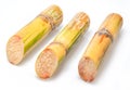 Pieces of sugarcane stalk isolated on white background Royalty Free Stock Photo