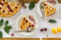 Pieces of summer fruit pie with sour cream filling Royalty Free Stock Photo