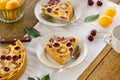 Pieces of summer fruit pie with sour cream filling Royalty Free Stock Photo