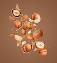 Pieces of tasty hazelnuts falling on brown background Royalty Free Stock Photo