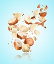 Pieces of tasty hazelnuts falling on light blue background Royalty Free Stock Photo