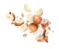 Pieces of tasty hazelnuts falling on white background Royalty Free Stock Photo
