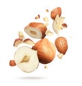 Pieces of tasty hazelnuts falling on white background Royalty Free Stock Photo