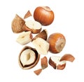 Pieces of tasty hazelnuts falling on white background Royalty Free Stock Photo