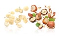 Pieces of tasty hazelnuts falling on white background Royalty Free Stock Photo