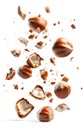 Pieces of tasty hazelnuts falling on white background Royalty Free Stock Photo