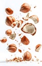 Pieces of tasty hazelnuts falling on white background Royalty Free Stock Photo